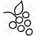 Bunch Of Grapes Icon