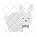 Bunny Icon