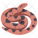 Bushmaster Lachesis Snake Icon