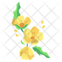 Butter Cup Flower Blossom Icon