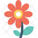 Buttercup Flower Icon