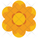 Buttercup Flower Icon
