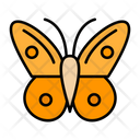 Butterflies  Icon