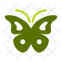 Butterfly Flutter Insect Icon