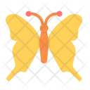 Butterfly Spring Insect Icon