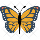 Butterfly Icon