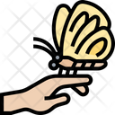 Butterfly Butterfly Hand Soul Icon
