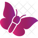 Butterfly Butterflies Insect Icon