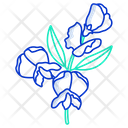 Butterfly Pea Icon