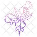 Butterfly Pea Icon