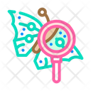Butterfly Search Junates Butterrfly Scan Icon