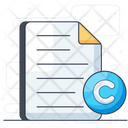 C File Document Paper Icon
