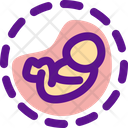 C Section Icon
