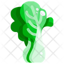 Cabbage Icon