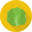 Cabbage Vegetable Food Icon
