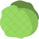 Cabbage Organic Food Icon