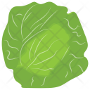 Cabbage Flower Salad Icon
