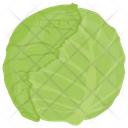 Cabbage Flower Vegetable Icon