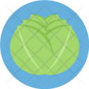 Cabbage Food Green Icon