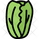 Cabbage Vegetables Fruit Icon