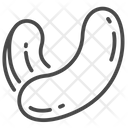 Cachew Grains Seed Icon