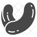 Cachew Grains Seed Icon