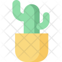 Cactus  Icon