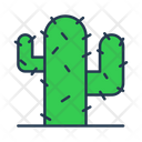 Cactus Cactus Tree Cactus Plant Icon