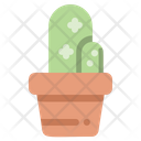Cactus Plant Pot Icon