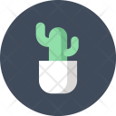 Cactus Decoration Growth Icon