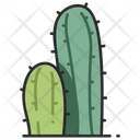 Cactus Plant Green Icon