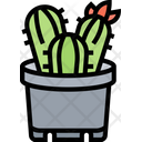 Cactus Succulent Plant Icon