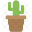 Cactus Plant Succulent Icon