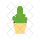 Cactus Plant Icon