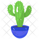 Cacti Cactus Plant Prickly Plant Icon