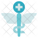Pharmacy Caduceus Medical Icon