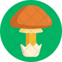 Mushrooms Caesars Mushroom Mushroom Icon