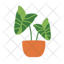 Cacti Succulent Cactus Pot Icon