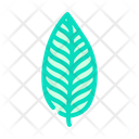 Calathea Leaf Tropical Tree Palm Icon