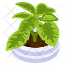 Calathea Plant Icon