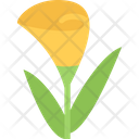 Calla Flower Nature Icon