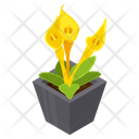 Calla Flower Icon