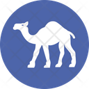 Camel Desert Camel Gulf Animal Icon