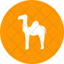 Camel Animal Wildlife Icon