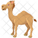 Camel Bactrian Animal Icon