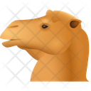 Camel Emoji  Icon
