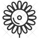Camomile Flower Garden Icon
