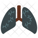 Cancer Lungs Pneumonia Smoked Icon