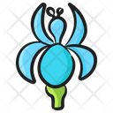 Canna Blossom Botany Icon
