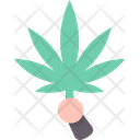 Cannabis  Icon